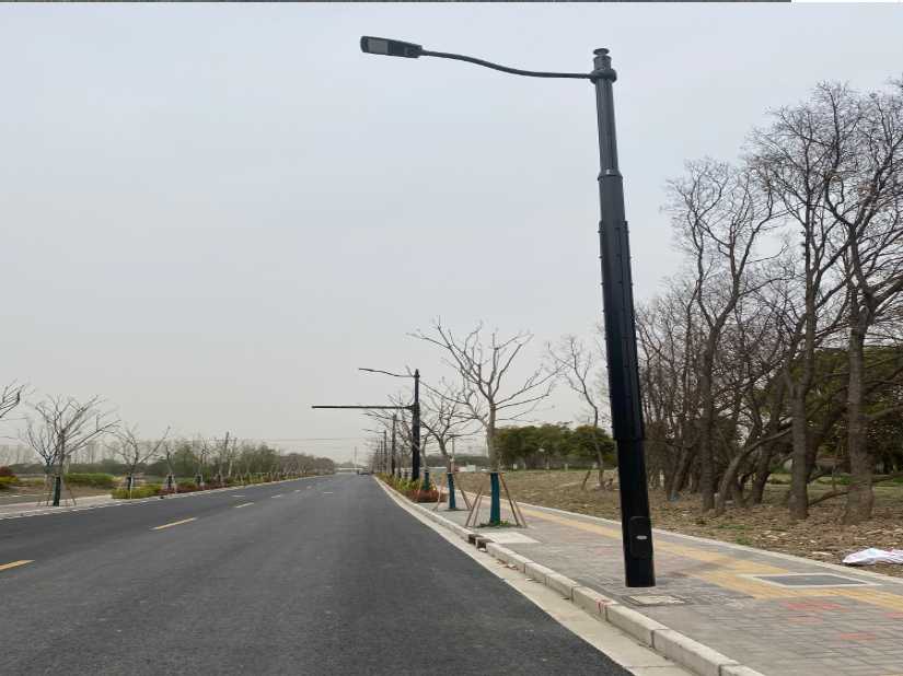 庆云县上海综合杆 太阳能路灯工程
